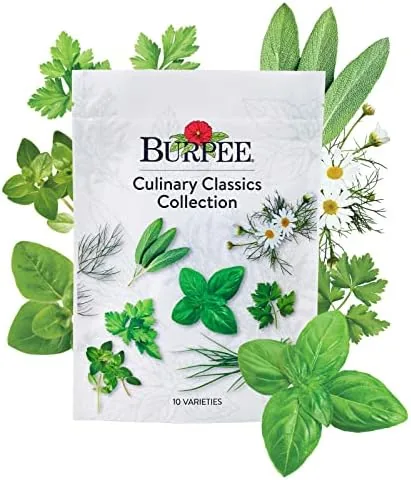 Burpee Culinary Classics Garden Collection 10 Packets of Non-GMO Chives, Cilantro, Basil, Sage, Thyme Review: Tested and Rated