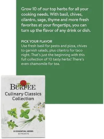 Close look at the Burpee Culinary Classics Garden Collection 10 Packets of Non-GMO Chives build quality