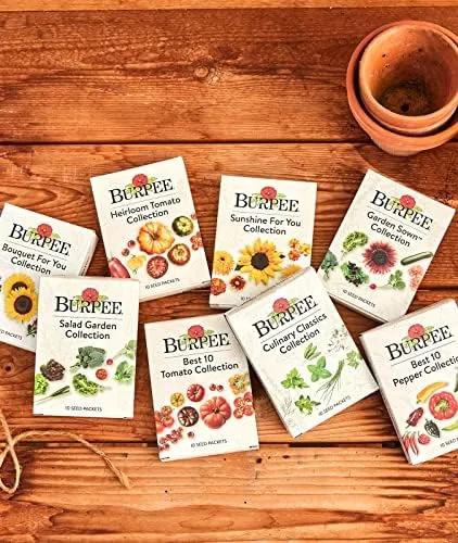 The Burpee Culinary Classics Garden Collection 10 Packets of Non-GMO Chives compared in context