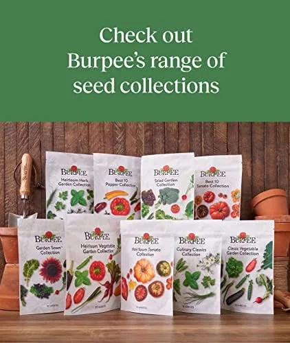 Testing the Burpee Culinary Classics Garden Collection 10 Packets of Non-GMO Chives over two weeks