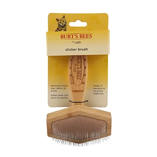The Burt's Bees slicker brush with its fine bristle head on a table