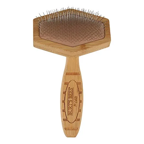 A cat being gently brushed with the Burt's Bees slicker brush