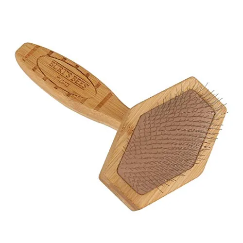 A short haired dog being brushed with the Burt's Bees slicker brush outdoors