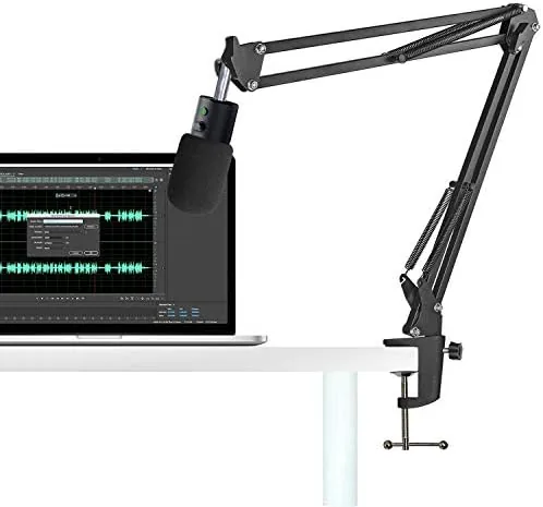 Testing the Razer Seiren X Boom Arm with Pop Filter - Mic over two weeks