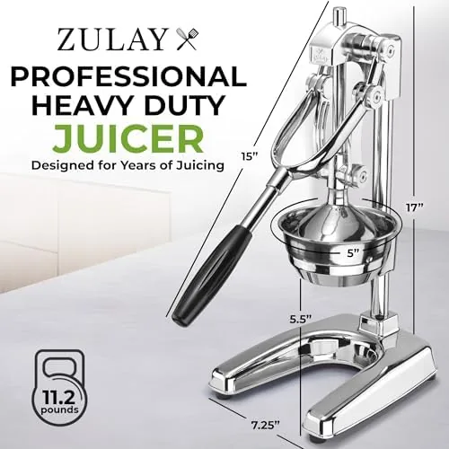 Close up of the chrome lever arm and the citrus press dome