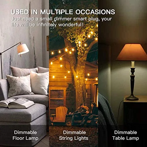 Another view of the TREATLIFE Smart Dimmer Plug 2 Pack Outdoor Smart Plug Works