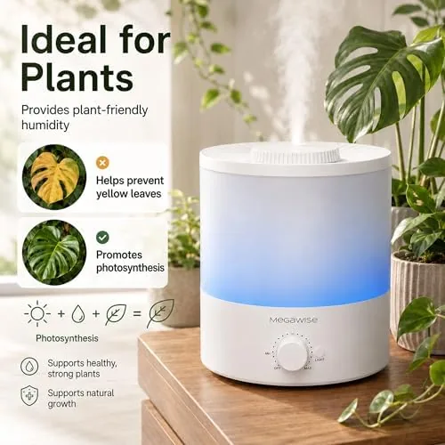 The MegaWise humidifier sitting on an office desk next to a laptop and notebook