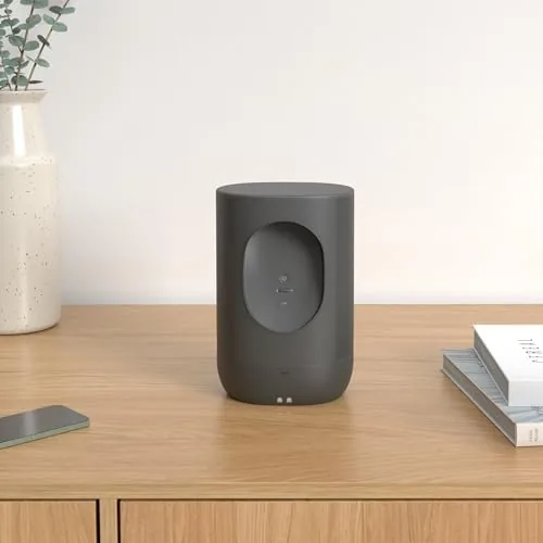 Close look at the Sonos Move - Battery-Powered Smart Speaker, Wi-Fi and Bluetooth with build quality