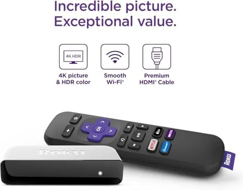 Close up of the Roku Premiere ports on the back edge