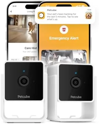 Petcube Cam (2-Pack) - Wi-Fi Pet & Security Camera with App | 1080p HD Review: Tested and Rated