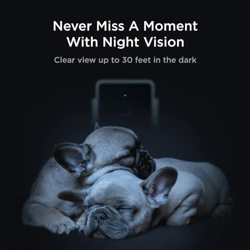 Another view of the Petcube Cam (2-Pack) , Wi-Fi Pet & Security Camera with
