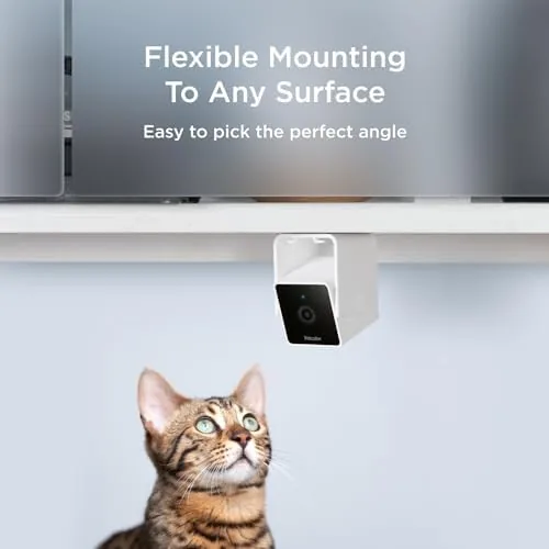 The Petcube Cam (2-Pack) , Wi-Fi Pet & Security Camera with compared in context