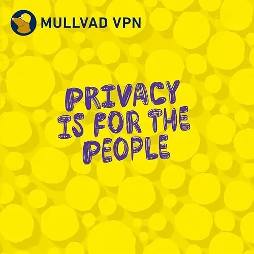 Person working on a laptop in a cafe with Mullvad VPN active on the screen