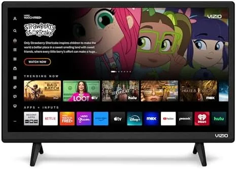 VIZIO 24 inch D-Series TV on a nightstand in a bedroom