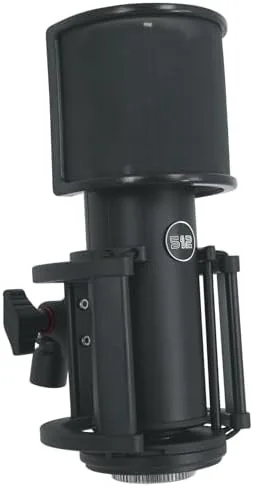 512 Audio by Warm Audio Skylight Large Diaphragm Studio Condenser XLR Microphone + Shock Review: Tested and Rated