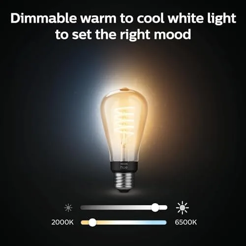 The Philips Hue Smart 40W ST19 Filament LED Bulb - White in real use