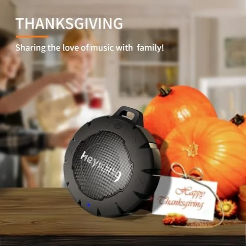 The HEYSONG Waterproof Shower Speaker, Durable & Lightweight Portable with HD compared in context