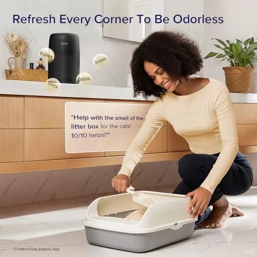 Purifier running on a desk with the subtle airflow visible