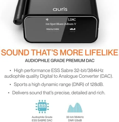 The Blume Pro HiFi Bluetooth 5.3 Music Receiver Long Range Bluetooth in real use