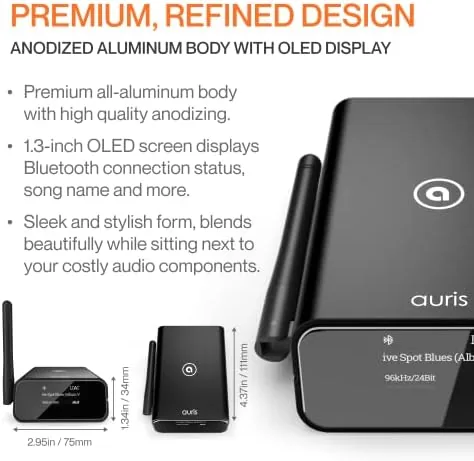 Testing the Blume Pro HiFi Bluetooth 5.3 Music Receiver Long Range Bluetooth over two weeks
