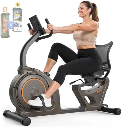 The Niceday recumbent exercise bike assembled in a home workout room