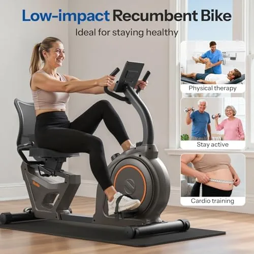 The padded seat and adjustable backrest of the Niceday recumbent bike