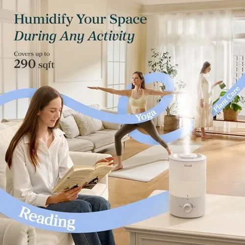 Houseplants in a bright room being humidified by the Levoit unit