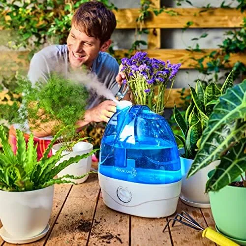 The AquaOasis® Cool Mist Humidifier (6L Water Tank) Quiet Ultrasonic Humidifiers compared in context