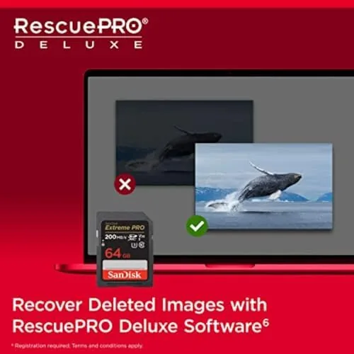 The SANDISK 64GB Extreme PRO SDXC UHS-I Memory Card - C10 compared in context