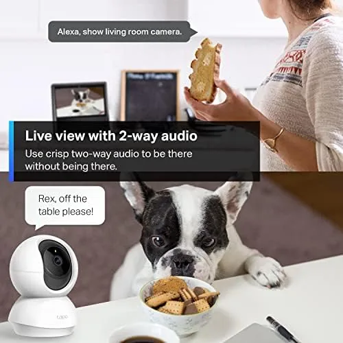 Night vision footage of a dog sleeping shown on the Tapo app at night
