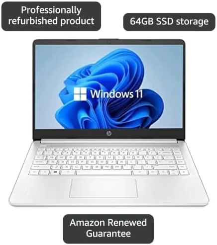 HP laptop screen showing a web browser with multiple tabs open