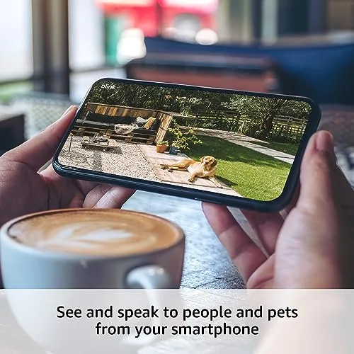 The Blink app showing the new add-on camera connected to an existing system