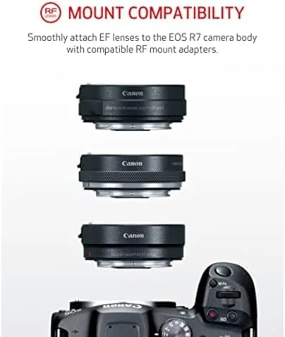 Testing the Canon EOS R7 Mirrorless Camera (Body Only), Hybrid Camera, 32.5 over two weeks