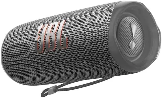 Hands holding the JBL Flip 6 outdoors during a day trip