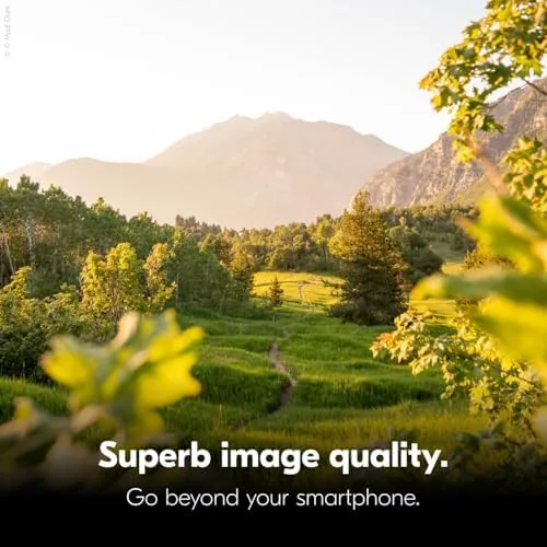 Testing the Nikon Z 30 with Wide-Angle Zoom Lens | Our most over two weeks