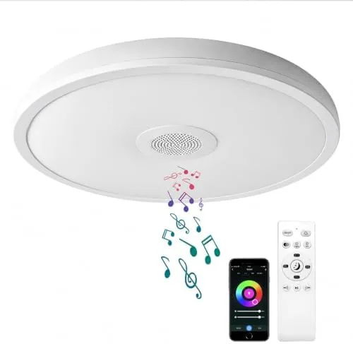 Overview of the Smart Waterproof LED Flush Mount Ceiling Light Fixture,11 inch 18W,with