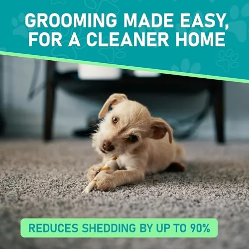 Dog being groomed on the floor with the wide rake side