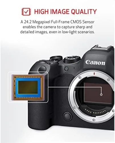 Canon R6 Mark II capturing action shots of a running dog in a park