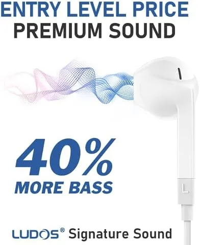 LUDOS FEROX earbuds plugged into a laptop during an online class