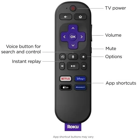 The Roku home screen showing the channel grid and search options