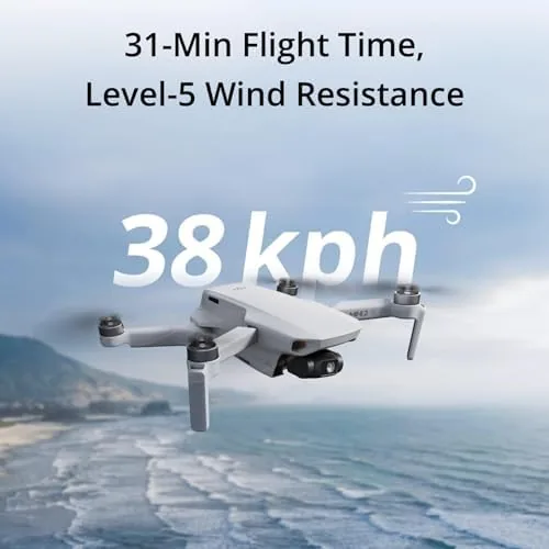 The Mini 2 SE flying above a lake with a treeline and mountains in the background
