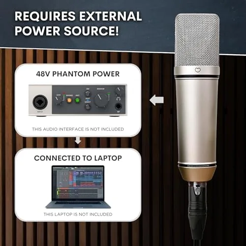 The Melon Audio MA-87 Studio Condenser Microphone, 26mm Gold Large Diaphragm in real use