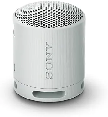Sony SRS-XB100 Review: Compact Wireless Audio That Delivers