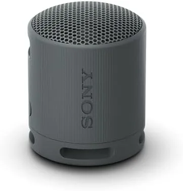 Sony SRS-XB100 black portable speaker on a table