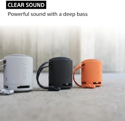Sony SRS-XB100 speaker next to a smartphone outdoors