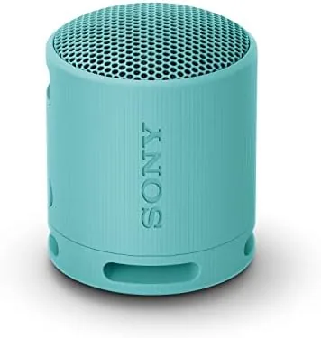Sony SRS-XB100 Review: The Blue Companion for Every Room