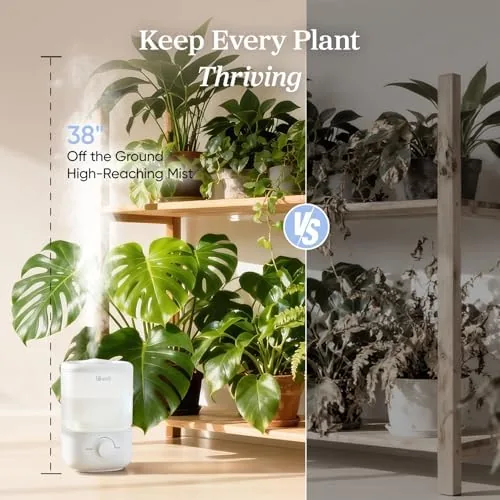Levoit humidifier compared with a bottom fill humidifier and a larger unit