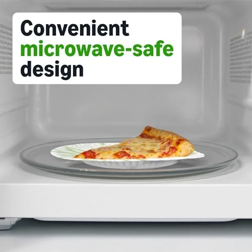 Three disposable plates compared: uncoated, Amazon Basics, and molded fiber