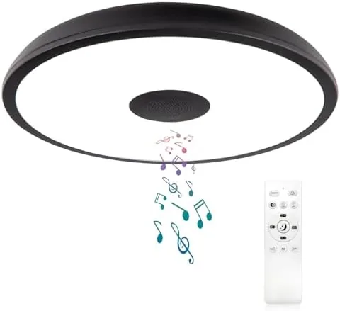 Overview of the Black Waterproof LED Flush Mount Ceiling Light Fixture,with Bluetooth Speaker,11