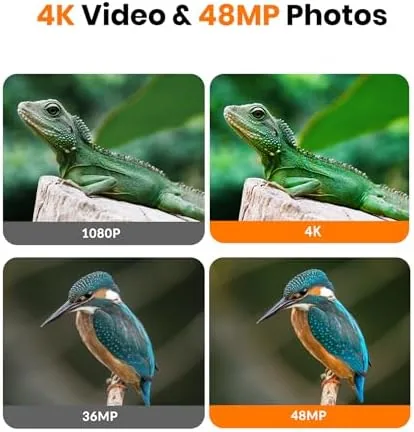 The 4K 48MP WiFi Trail Camera with Bluetooth App, Night Vision in real use